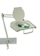 ZI-3623 Magnifier LED Desk Lamp